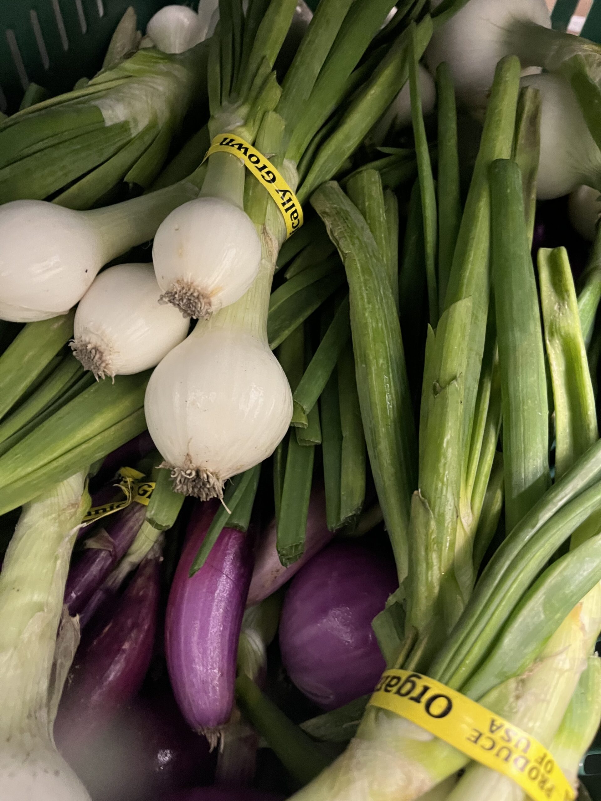 Collection of white and red onions with long stems and yellow tags.